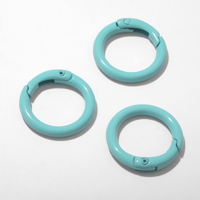 Карабин &laquo;Кольцо&raquo; d=2,5 см (набор3 шт.), цвет мятный