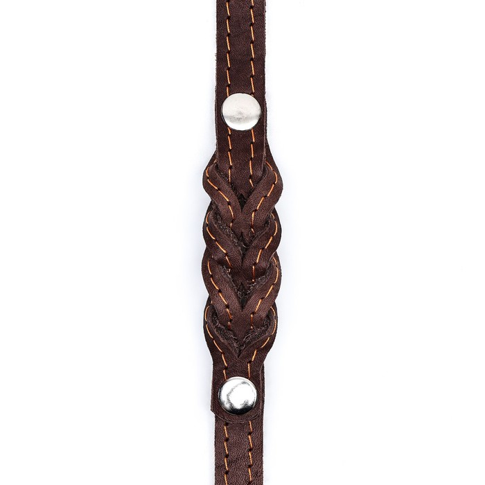 Поводок кожаный однослойный длинный, 2 м х 1,6 см, коричневый Поводок кожаный однослойный длинный, 2 м х 1,6 см, коричневый