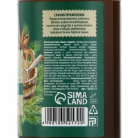 Настой для бани &laquo;Хвоя и бадьян&raquo;, 250 мл, аромат хвои и бадьяна, БАННЫЙ ДУХ