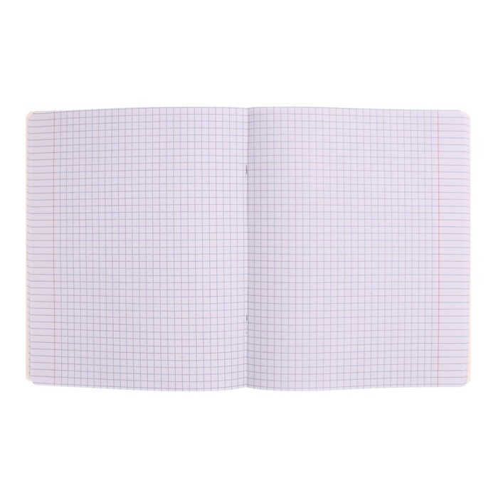 Тетрадь 48 листов, в клетку, "Аниме", обложка мелованный картон, твин-лак, УФ-лак 5В МИКС