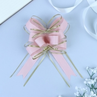 Бант-бабочка №5 Бант-бабочка №5