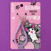 Брелок для ключей &laquo;Возьми меня на ручки&raquo;, 12 х 3,5 см