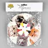 Тарелка Котики фотографичные 17см 6шт/G