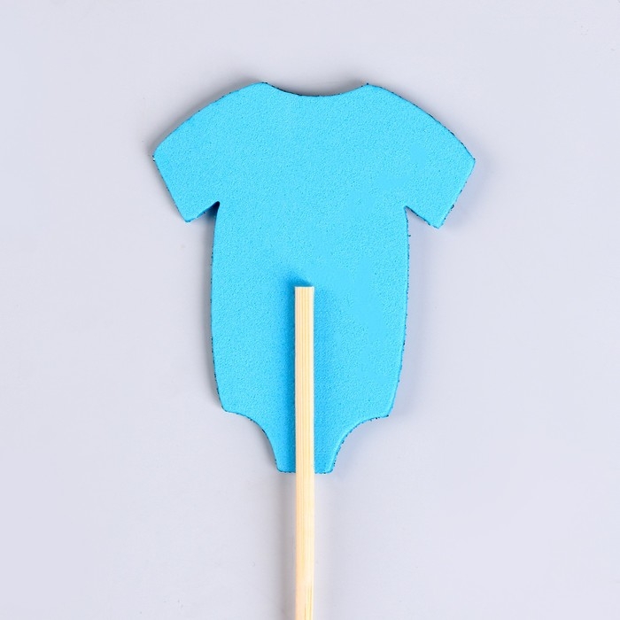 Шпажки - шампуры для канапе &laquo;Гендерная вечеринка&raquo;, набор 6 штук