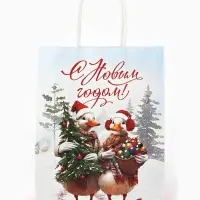 Набор пакетов крафтовых &laquo;С Новым счастьем!&raquo;, 10 шт, 21 &times; 27 &times; 11 см