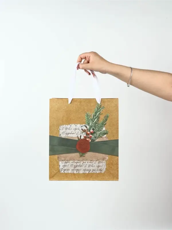 Набор пакетов крафтовых &laquo;Новогоднее поздравление&raquo;