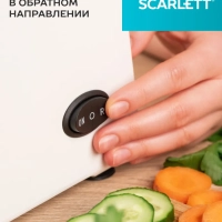 Мясорубка электрическая с насадками для мяса и овощей