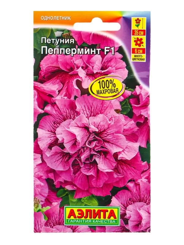 Семена цветов Петуния Пепперминт F1 многоцветковая махровая  (драже в пробирке), Ц/П,5 шт.