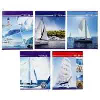 Тетрадь 36 листов в клетку, Calligrata &laquo;Яхты&raquo;, обложка мелованный картон, серые листы, МИКС