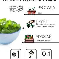 Семена Базилик "Зеленый ароматный", 0,1 г