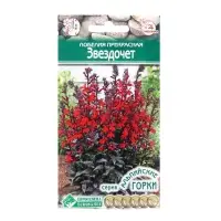 Семена Лобелия прекрасная "Звездочет",  3 шт