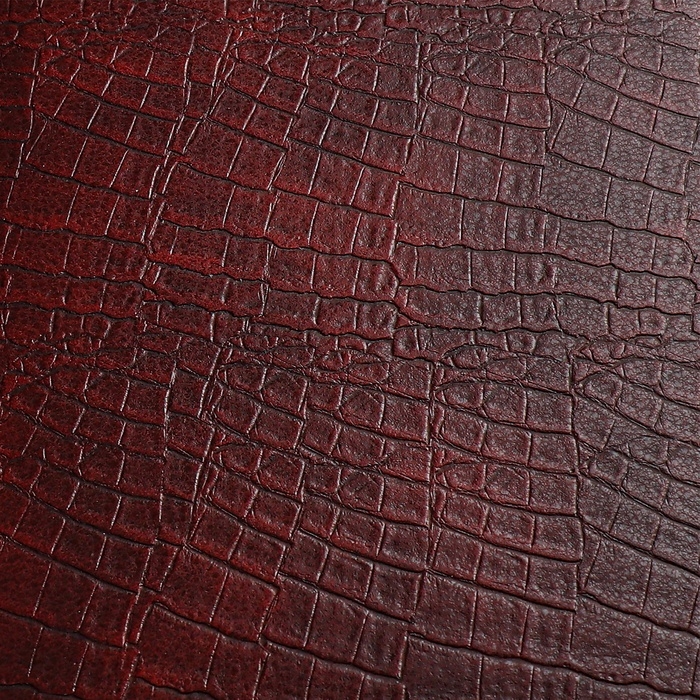 Ежедневник датированный 2024 года, А5, 176 листов, Attomex.Croco, обложка искусственная кожа, ляссе, блок 70 г/м2, коричневый