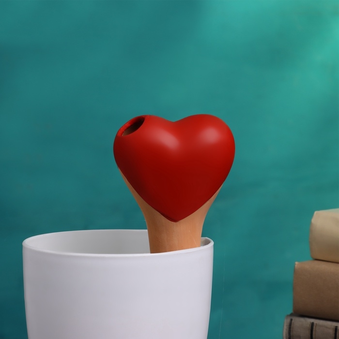 Ороситель &laquo;Сердечко&raquo;, 14&times;4.6см, цвет МИКС, набор 4 шт.