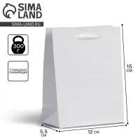 Пакет подарочный ламинированный, упаковка, &laquo;Белый&raquo;, S 12 х 15 х 5.5 см