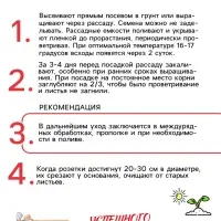 Семена Салат листовой "Московский парниковый", 0,5 г