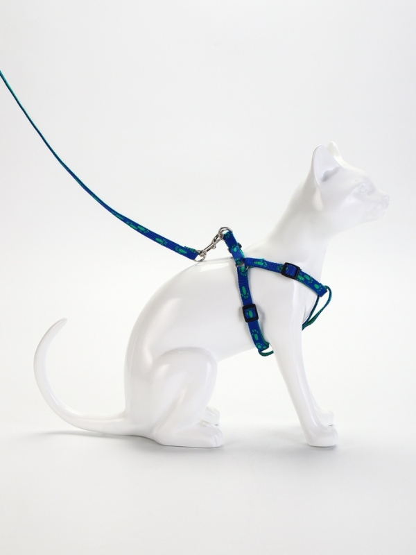 Комплект  "Большая лапа", ширина 1 см, поводок  120 см, шлейка 25-36 см, сине-зелёный