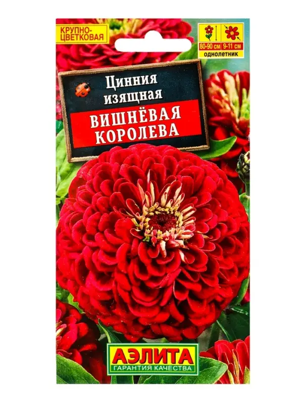 Семена цветов Цинния Вишневая королева , Ц/П,0,3 г