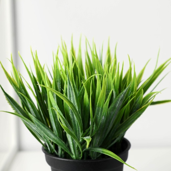 Бонсай в горшке Бонсай в горшке "Зелень люкс" 7х11 см