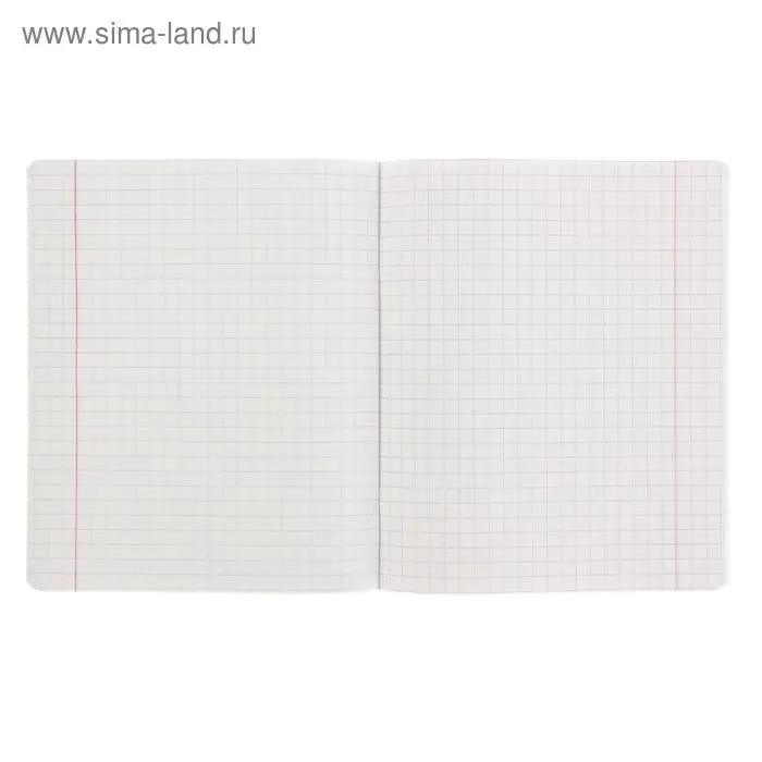 Тетрадь 12 листов в крупную клетку &laquo;Великолепная пятёрка&raquo;, бумажная обложка, МИКС