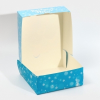 Подарочная коробка новогодняя складная «Енотик», 25 х 25 х 10 см, Новый год Подарочная коробка новогодняя складная «Енотик», 25 х 25 х 10 см, Новый год