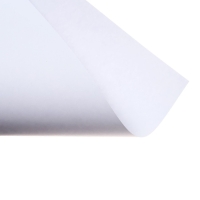 Бумага для рисования А3 20 листов, 190 г/м2, "Мультики" Гамма, в папке, 180523_А318020 Бумага для рисования А3 20 листов, 190 г/м2, "Мультики" Гамма, в папке, 180523_А318020