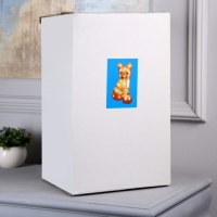 Светодиодная фигура &laquo;Лиса с лисёнком&raquo; 24 &times; 35 &times; 19 см, акрил, 40 LED, 220 В, свечение белое