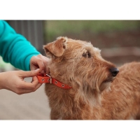 Ошейник кожаный однослойный безразмерный, 45 х 2 см, ОШ 18-39 см, коричневый Ошейник кожаный однослойный безразмерный, 45 х 2 см, ОШ 18-39 см, коричневый