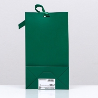 Пакет подарочный с лентой &laquo;Зелёный&raquo; 13 х 23 х 7 см, 1 шт.