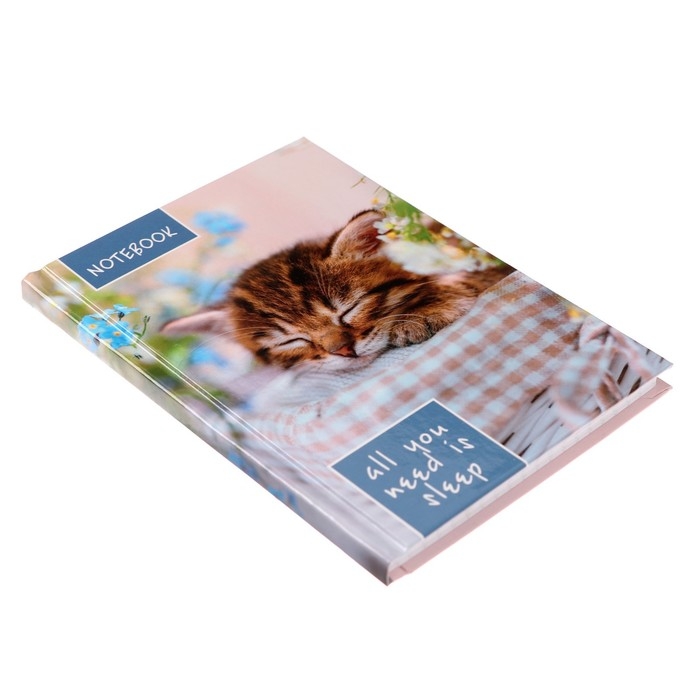 Блокнот А6, 64 листа в клетку "Соня", твёрдая обложка, глянцевая ламинация, блок офсет