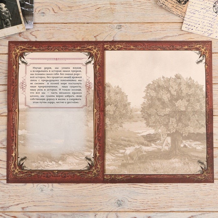 Родословная книга в шкатулке &laquo;Древо&raquo;, 56 листов, набор 3 предмета.