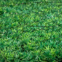 Гирлянда &laquo;Нить&raquo; 10 м роса, IP44, серебристая нить, 100 LED, свечение тёплое белое, 2 режима, солнечная батарея