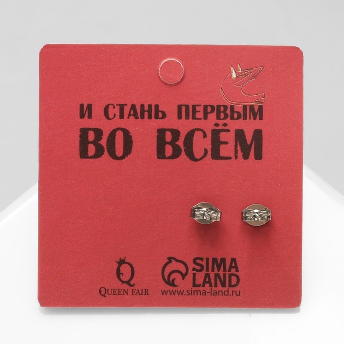 Серьги &laquo;Пусеты&raquo; стальные, линии, цвет серебро