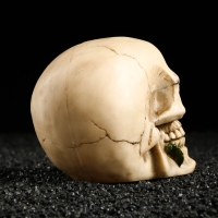 Декор для аквариума Last Love, 14 х 9 х 11 см Декор для аквариума Last Love, 14 х 9 х 11 см