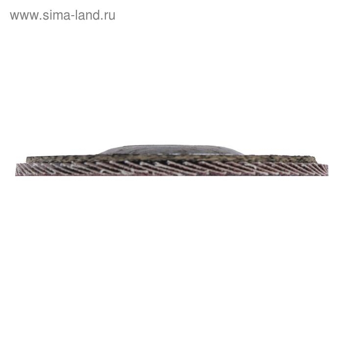 Круг лепестковый торцевой ЛОМ, 125 х 22 мм, Р40