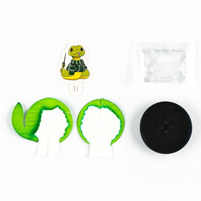 Набор для опытов «Новогодние кристаллы», змейка-волшебница Набор для опытов «Новогодние кристаллы», змейка-волшебница