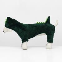 Комбинезон "Дракоша" с капюшоном, размер XL (ДС 40 см, ОГ 50 см, ОШ 40 см), зелёный Комбинезон "Дракоша" с капюшоном, размер XL (ДС 40 см, ОГ 50 см, ОШ 40 см), зелёный