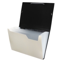 Папка картотека А4, Calligrata TOP DeLuxe, 13 отделений, пластиковая, 1000 мкм, молочная Папка картотека А4, Calligrata TOP DeLuxe, 13 отделений, пластиковая, 1000 мкм, молочная