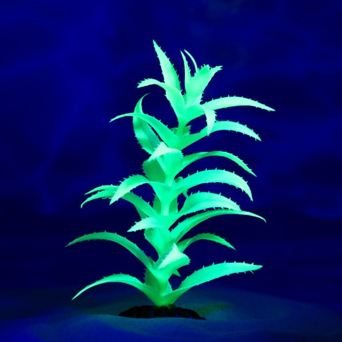 Растение искусственное аквариумное, светящееся, 20 см, зелёное Растение искусственное аквариумное, светящееся, 20 см, зелёное