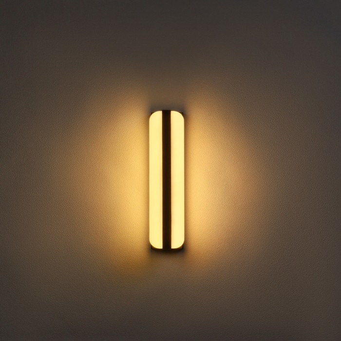 Светильник фасадный &laquo;Эллипс&raquo;, FSD-029, 24 Вт, 3000K, IP65, 220 В, пластик, черный