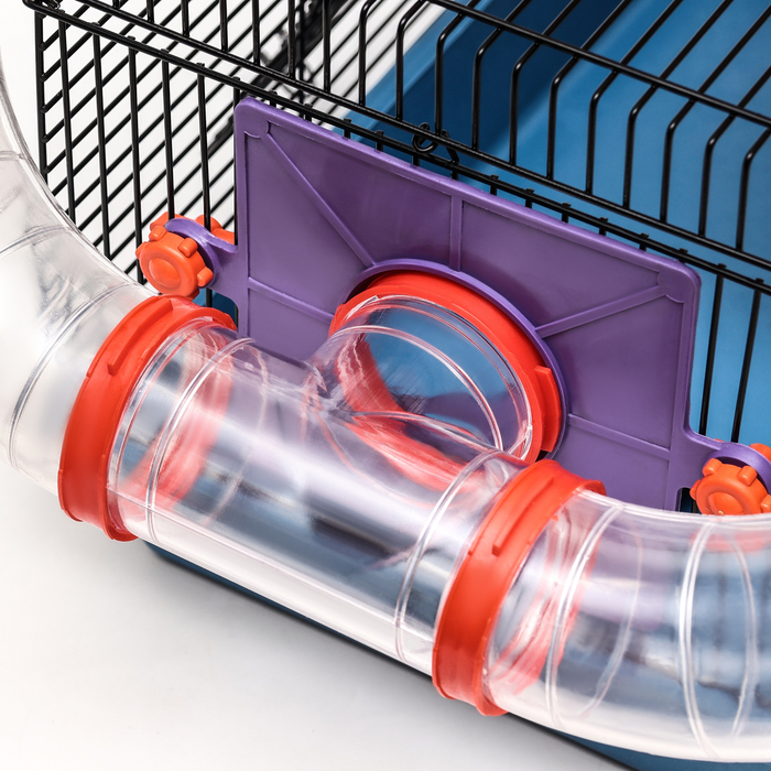 Клетка для грызунов малая с лабиринтом, колесом и домом, 40 x 25 х 22 см, микс цветов Клетка для грызунов малая с лабиринтом, колесом и домом, 40 x 25 х 22 см, микс цветов