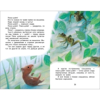 &laquo;Рассказы и сказки о животных&raquo;, Бианки В. В.