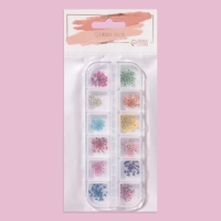 Сухоцветы для декора ногтей, 12 видов, в футляре, цвет разноцветный Сухоцветы для декора ногтей, 12 видов, в футляре, цвет разноцветный