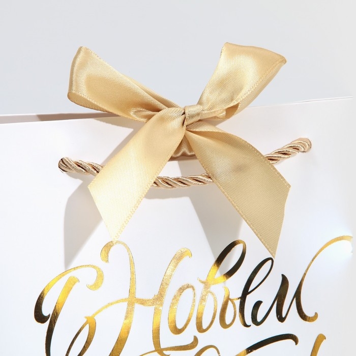 Пакет подарочный новогодний &laquo;White Snow&raquo;, 19 х 20 х 9 см, Новый год