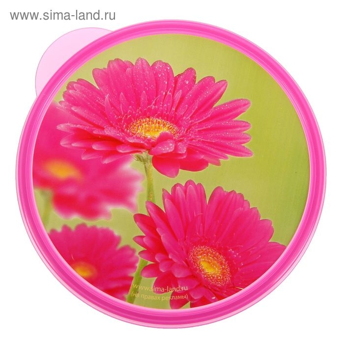 Ланч-бокс круглый FoodVibes &laquo;Цветы&raquo;, 500 мл