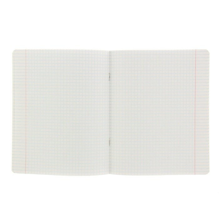 Комплект тетрадей из 10 штук, 24 листа в клетку КПК "Зелёная обложка", блок офсет, 58-62 г/м&sup2;, белизна 90%