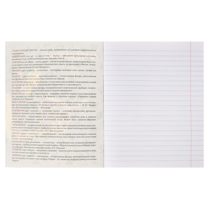 Тетрадь предметная Calligrata TOP "Анимэ", 48 листов в линию Литература, со справочным материалом, обложка мелованный картон, блок офсет