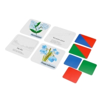 Набор карточек "Звукобуквенные карточки для фонетического разбора (+ 36 цветных карточек)"