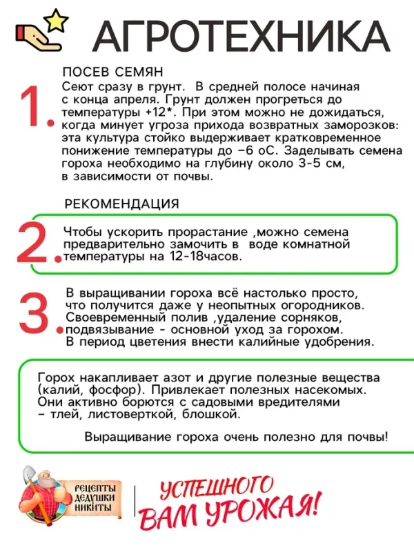 Семена Горох сахарный "Рафинад", 5 г