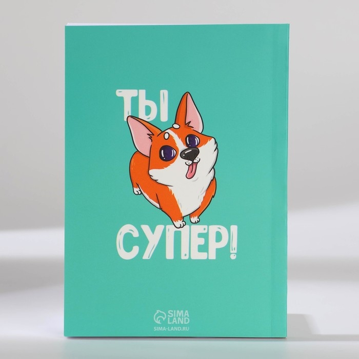 Подарочный набор: ежедневник А6 80 листов и термостакан 250 мл &laquo;У меня лапки&raquo;