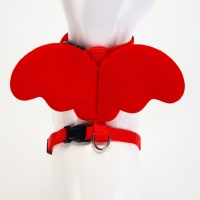 Комплект амуниции "Ангел", размер XS, шлейка 19-26 см, поводок 120 х 1 см, красный